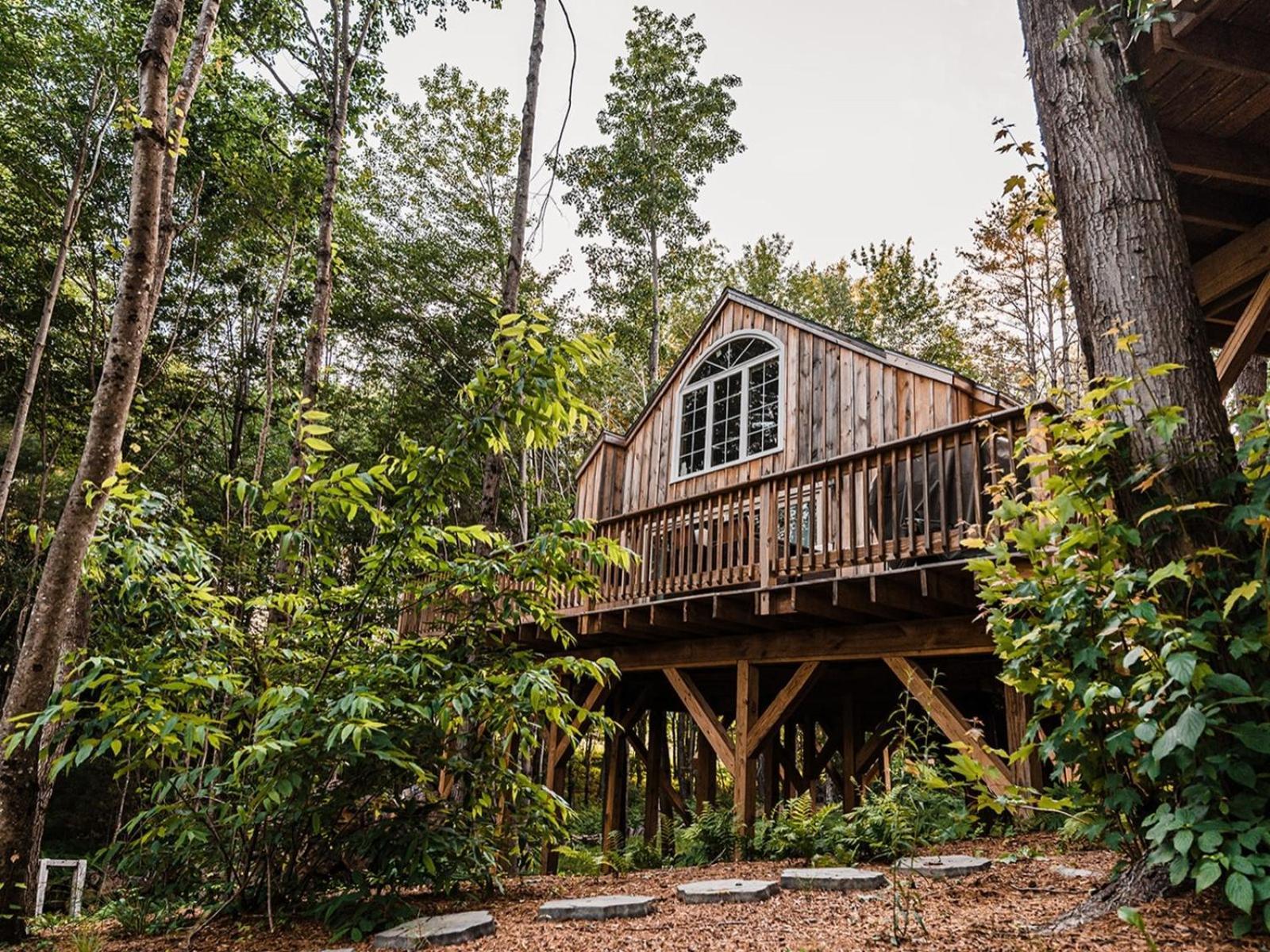 Moonlight Treehouse At Belgrade Hospitality Villa Exterior photo